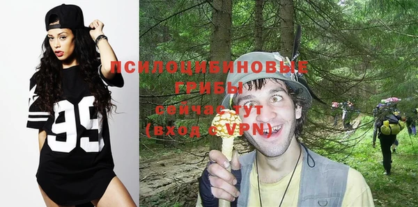 марки nbome Инсар