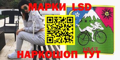 сатива Ставрополь