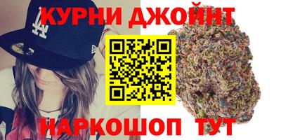 сатива Ставрополь