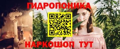 сатива Ставрополь