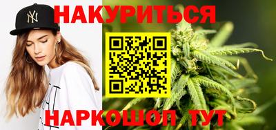 сатива Ставрополь