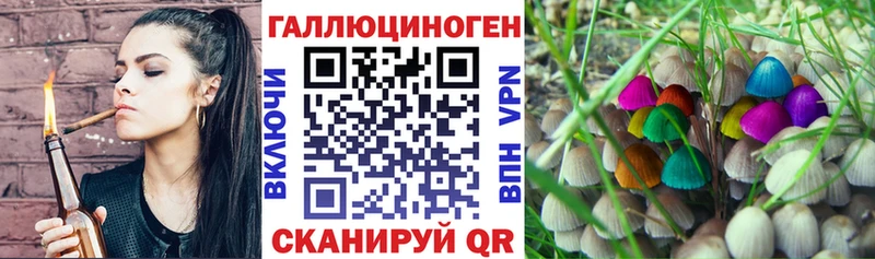 Галлюциногенные грибы мухоморы  Радужный 