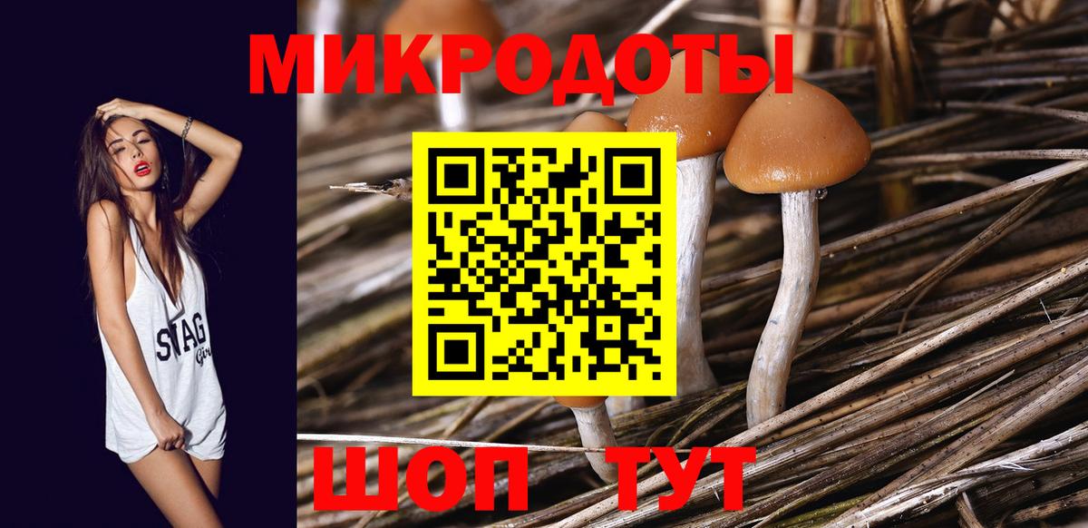 Псилоцибиновые грибы Psilocybine cubensis  закладка  Радужный  Вход с VPN 
